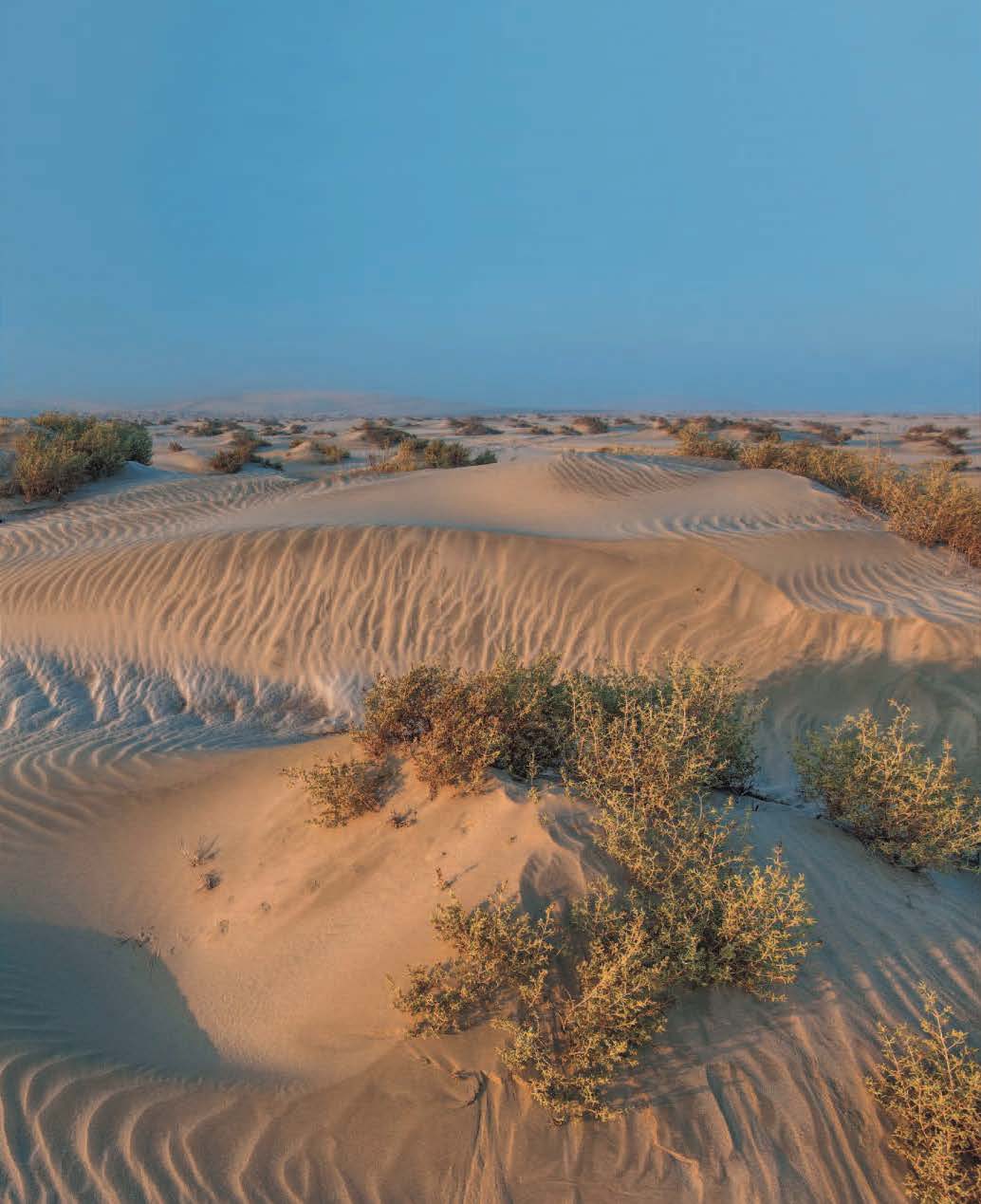 Biodiversity And Ecosystems Earthna